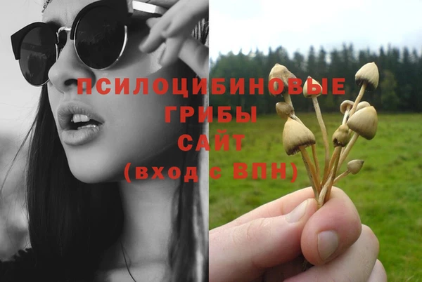 гашик Покачи