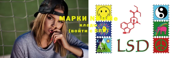 сатива Покров