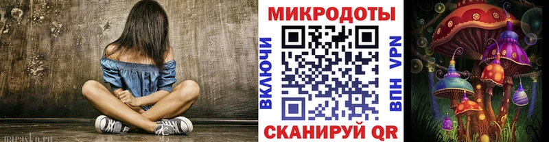 Псилоцибиновые грибы Psilocybe  Новороссийск 
