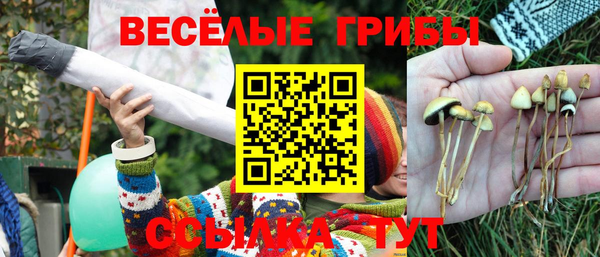 Псилоцибиновые грибы Cubensis  Вход с VPN  Новороссийск 